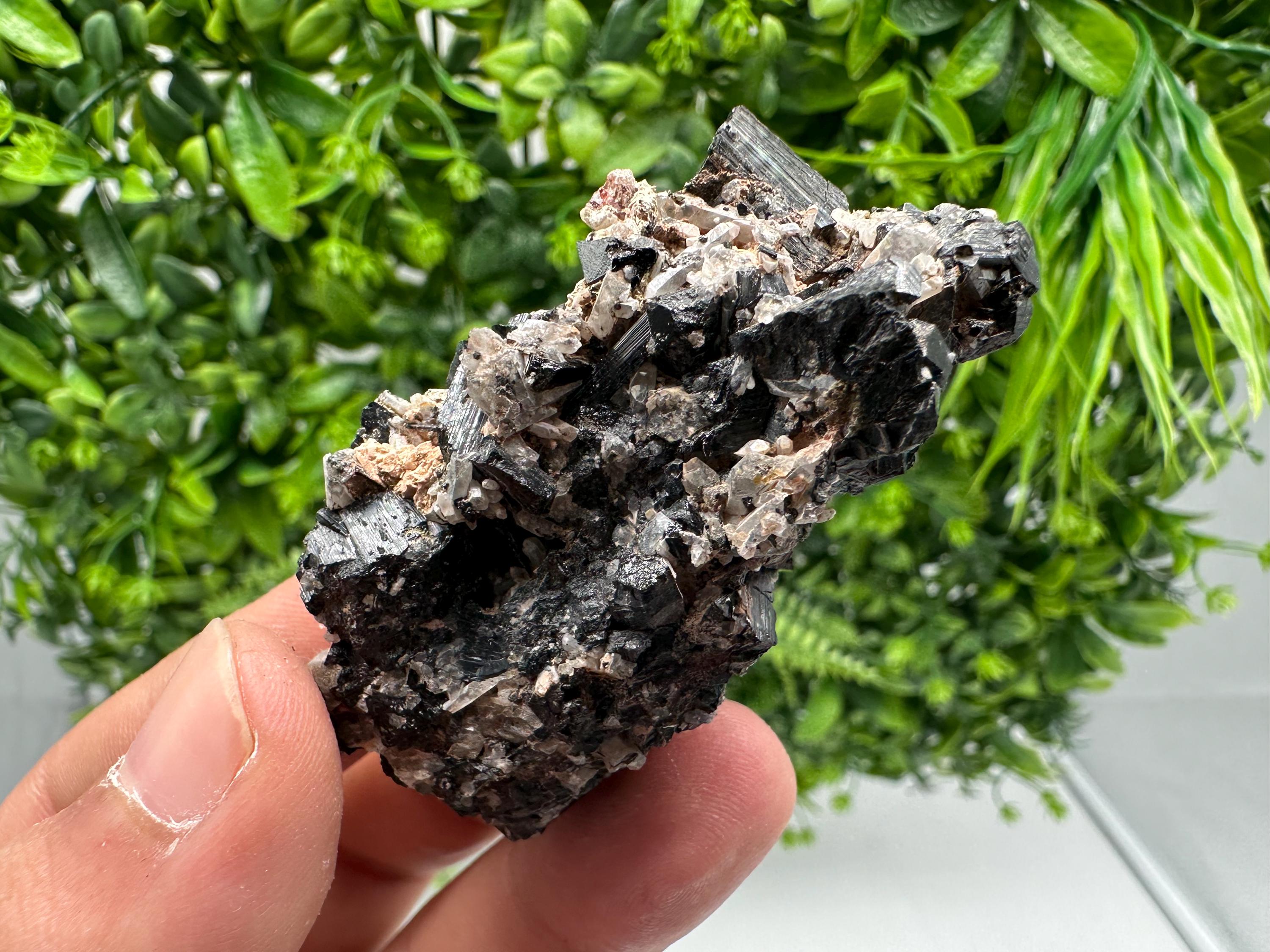 Rare Tourmaline,Rubellite from Vitosha Mountain,Bulgaria,Large Black Tourmaline,Rubellite,mineral specimen,collection,collections Tourmaline