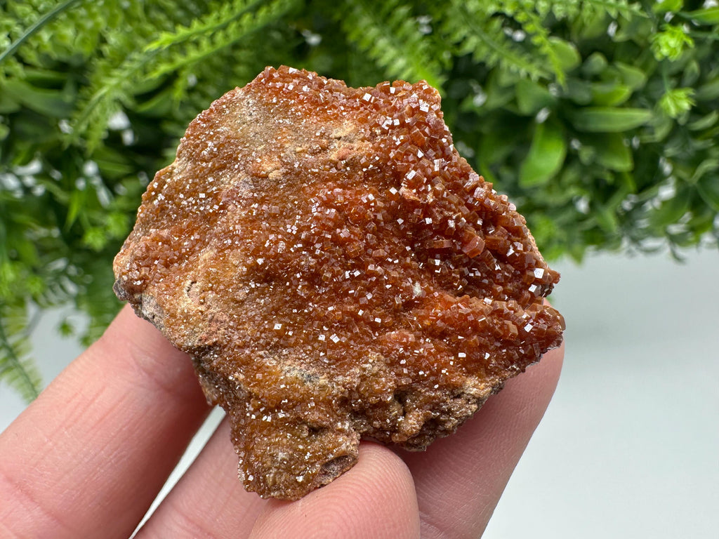 Red Vanadinite on Matrix from Marocco,crystal minerals Speciment cluster Vanadinite crystal Vanadinite Geology Vanadinite cluster minerals