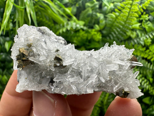 Chalcopyrite on Quartz: Borieva Mine, Bulgaria