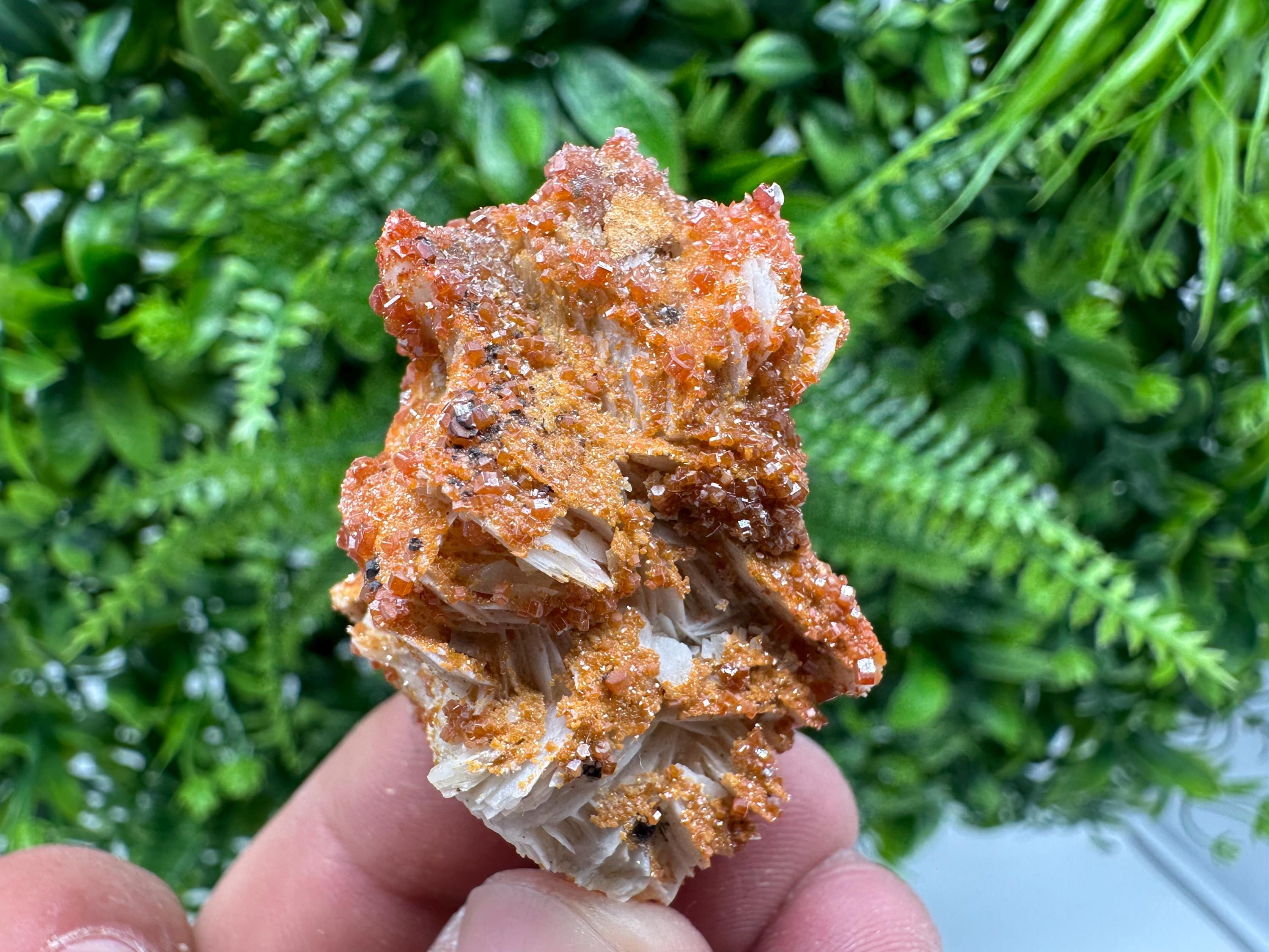 Red Vanadinite Crystal Cluster on Matrix, Morocco Mineral Specimen