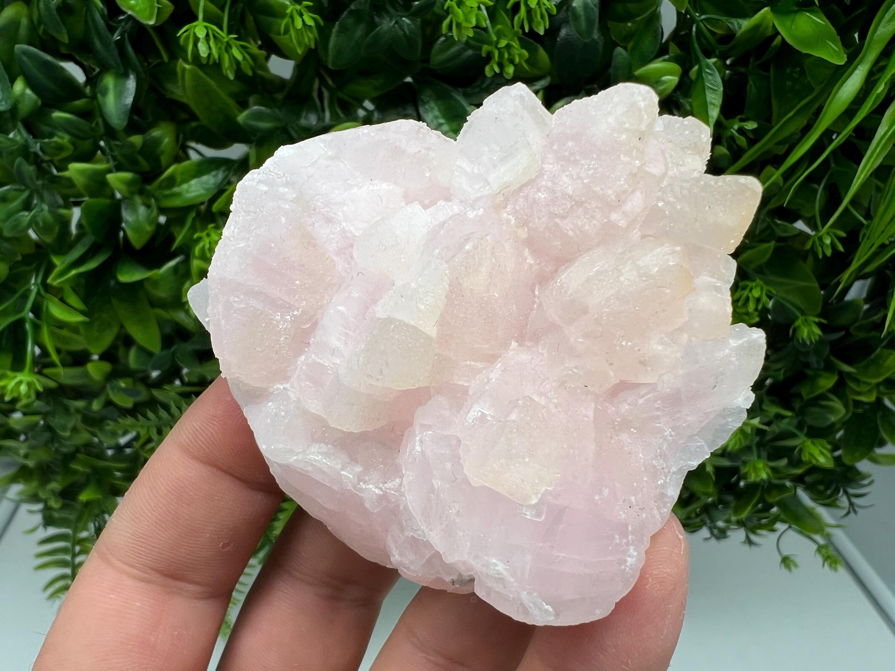 UV Reactive Mangano Calcite Crystal: Androvo Mine, Bulgaria