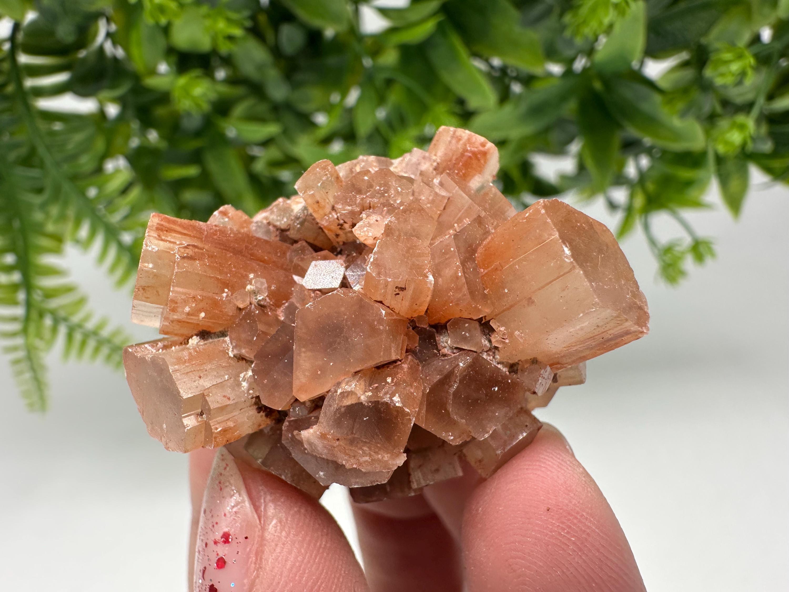 Aragonite Sputnik Cluster: Raw Moroccan Crystal Stone, Home Decor