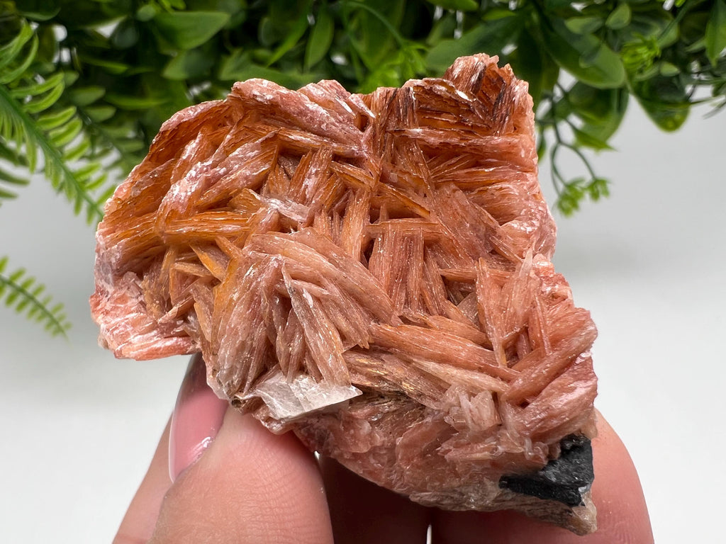 Wonderful Baryte with Cerussite on Galena from Morocco,Crystal, Mineral,Specimen,Cluster,Crystals,Barite Crystal,Cerussite Crystal,Specimen