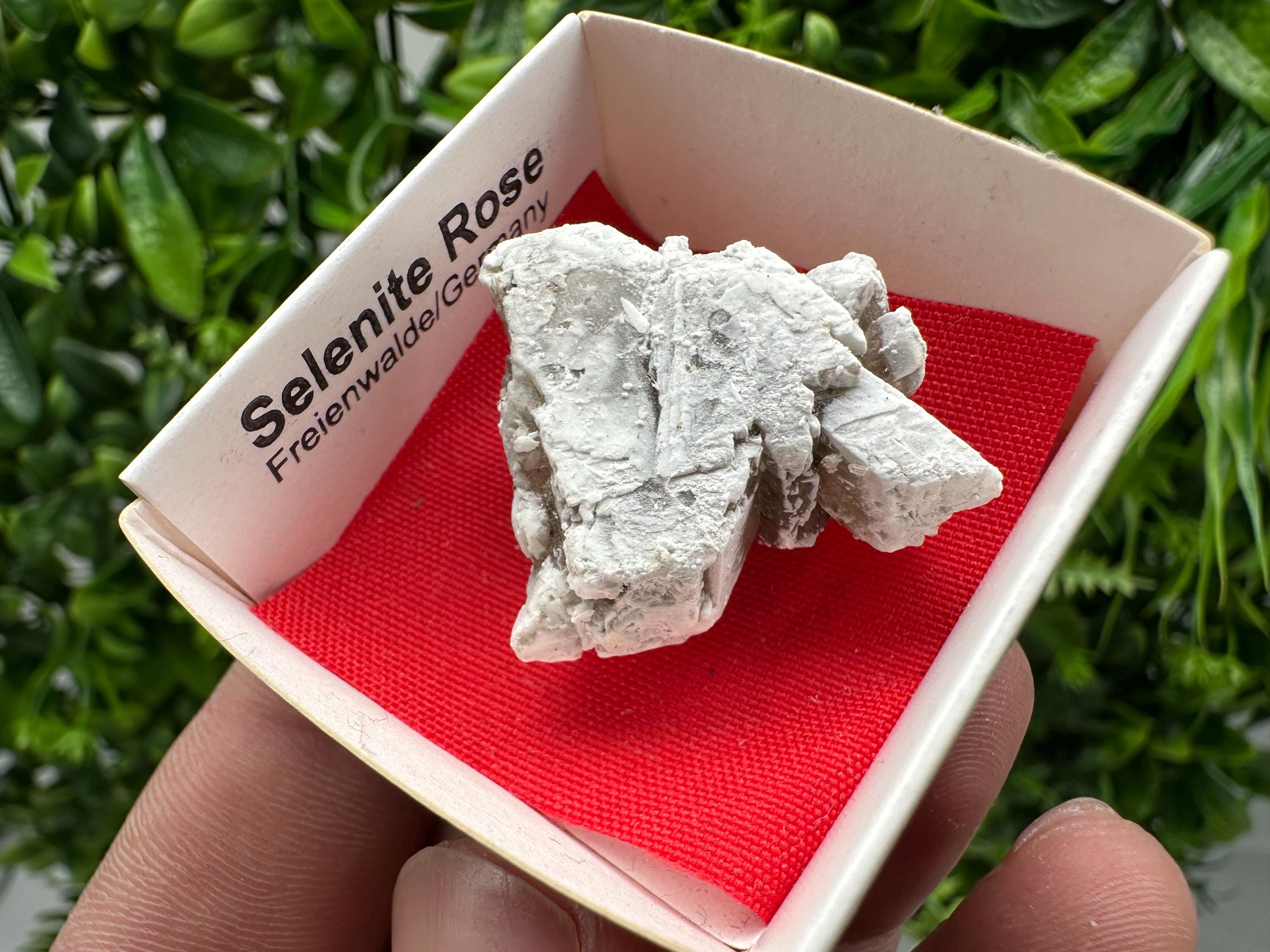 Selenite Rose Freienwalde,Germany natural crystal minerals,specimen,clusters,souvenirs,home decor,gift minerals,rare stone,collection