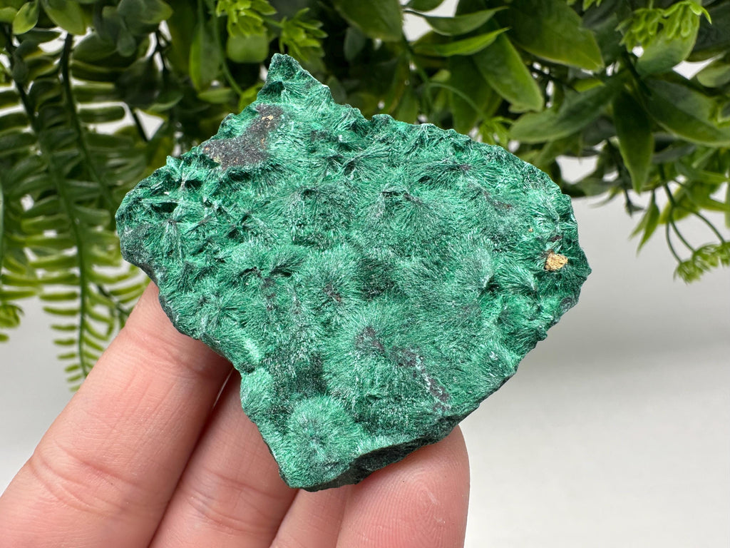 Polished Green Malachite Crystal from Congo, Natural Specimen, Chakra Stone