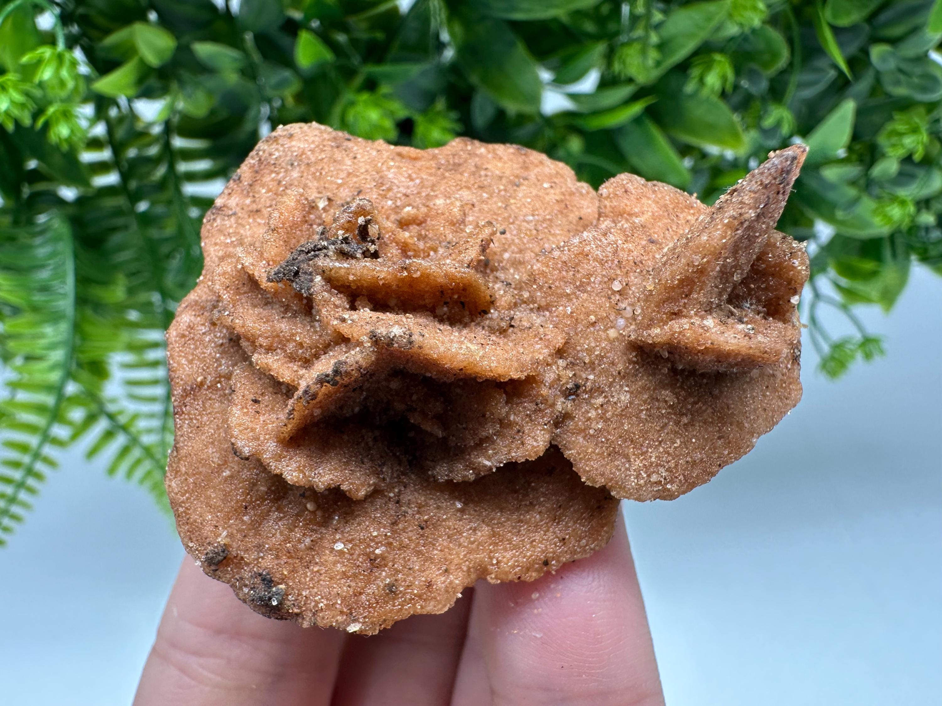 Desert Rose Crystal: Root Chakra Healing Selenite Stone