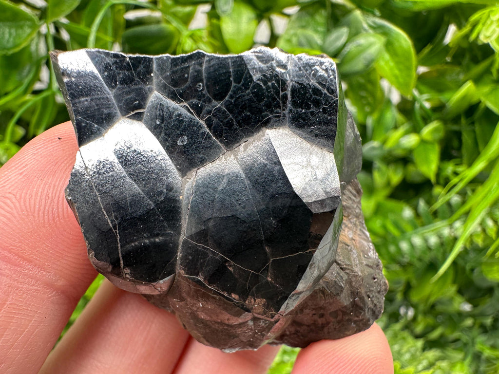 Moroccan Black Botryoidal Hematite Specimen, Chakra Reiki Crystal