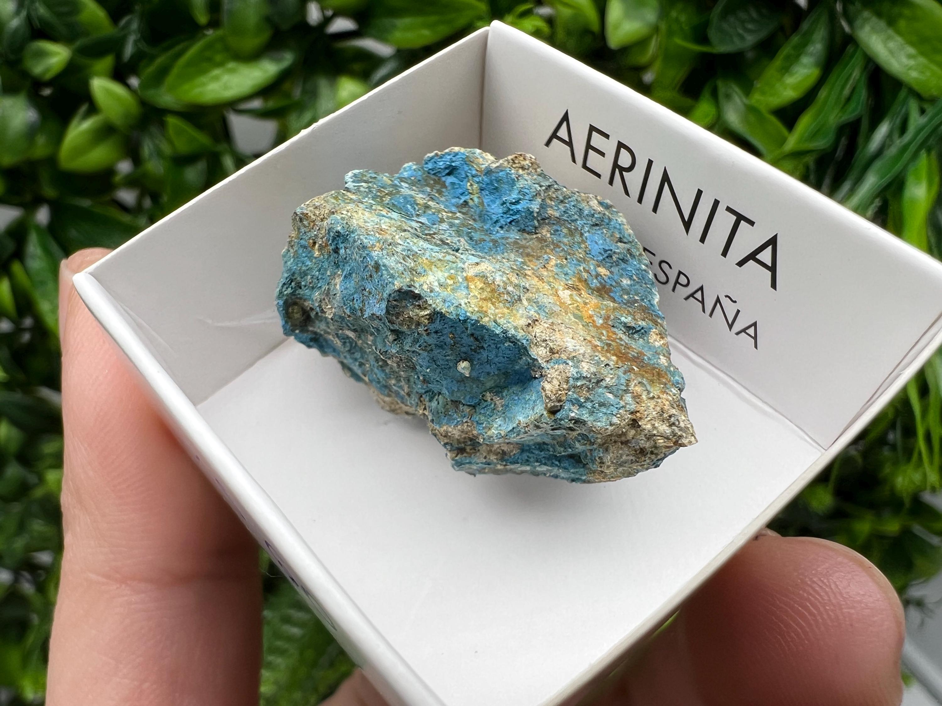 Rare Raw Aerinite Crystal, Mineral Specimen from Lleida, Spain