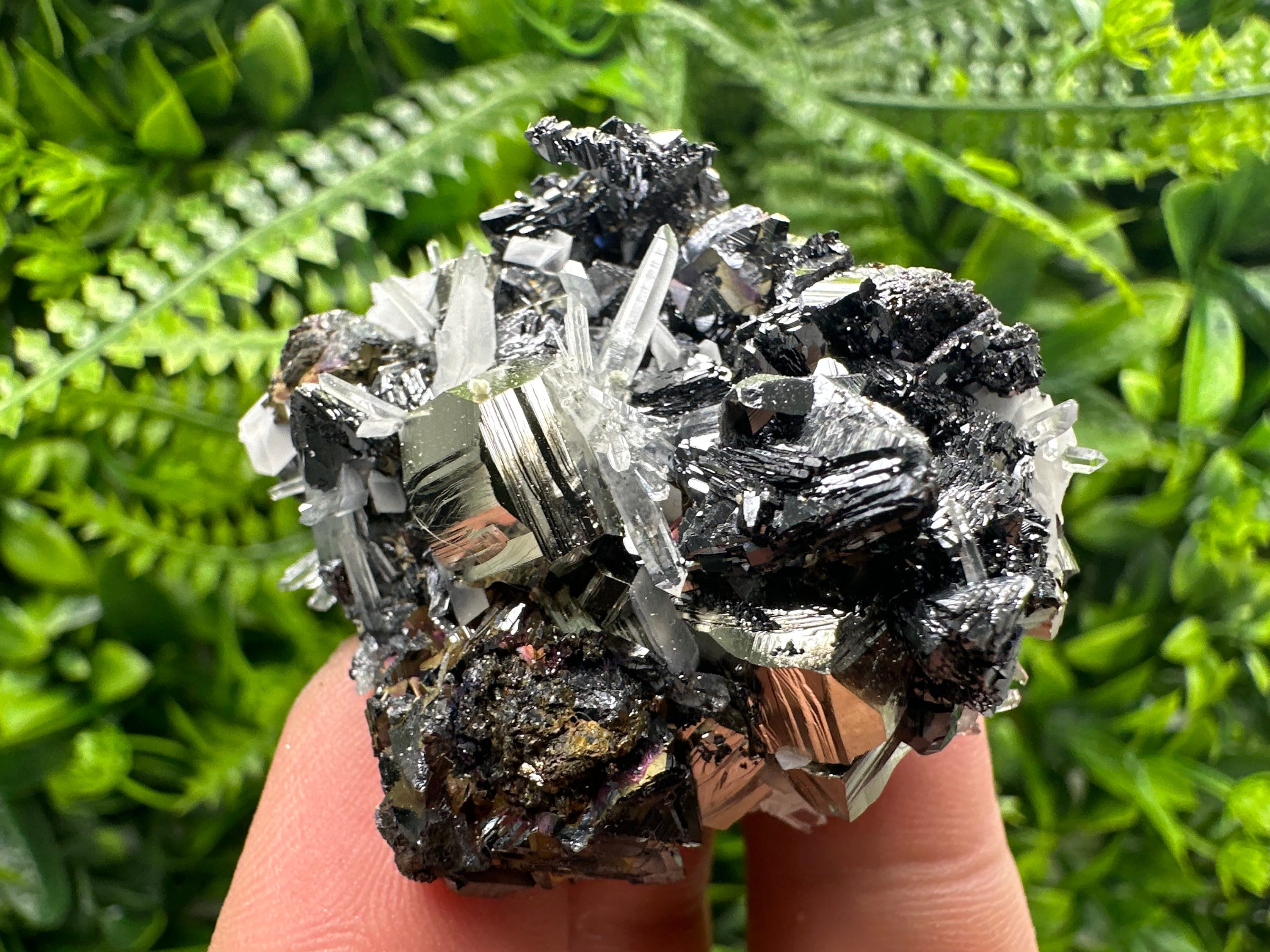 Pyrite Sphalerite Quartz Cluster, Borieva Mine Mineral Specimen