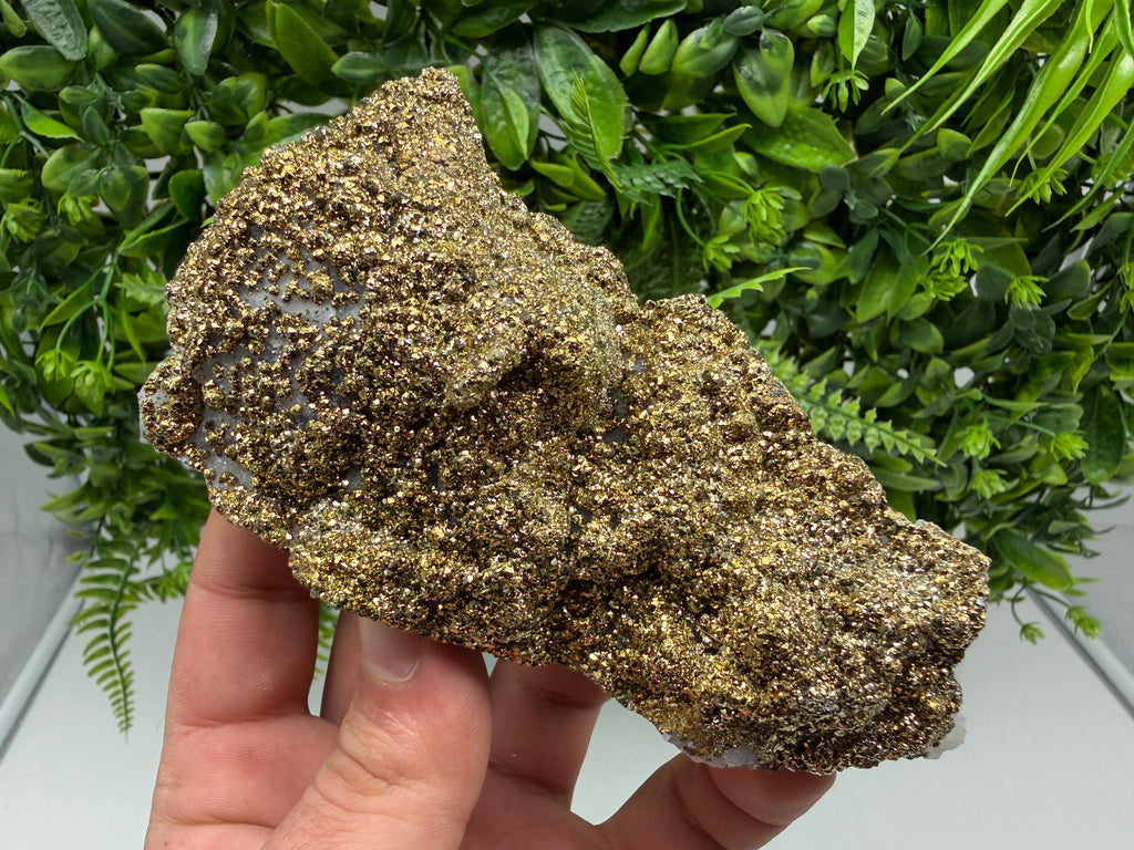 Marcasite Cluster on Chalcedony, Bulgaria Mineral Specimen