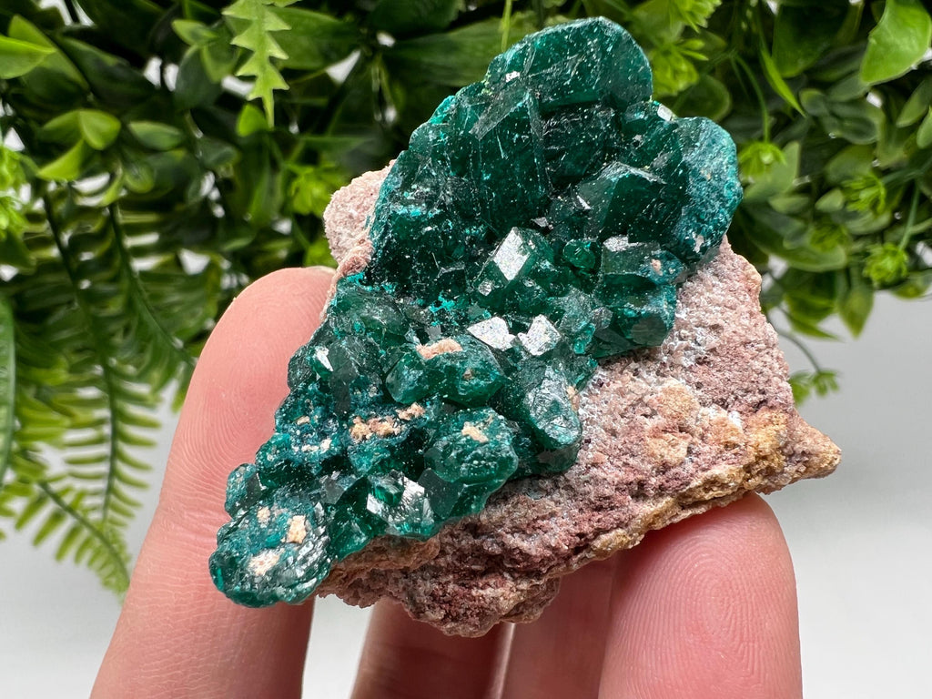 Stunning Green Dioptase from Sanda Hills,Mindouli,Pool Department,Mindouli District,Congo,green Dioptase,Dioptas Crystal,Dioptase collecting