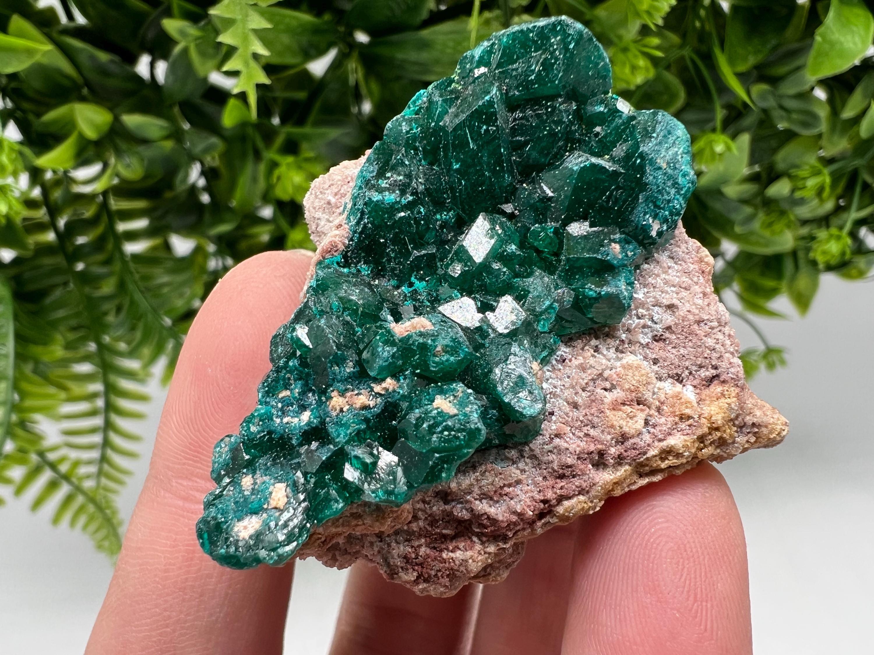 Stunning Green Dioptase from Sanda Hills,Mindouli,Pool Department,Mindouli District,Congo,green Dioptase,Dioptas Crystal,Dioptase collecting