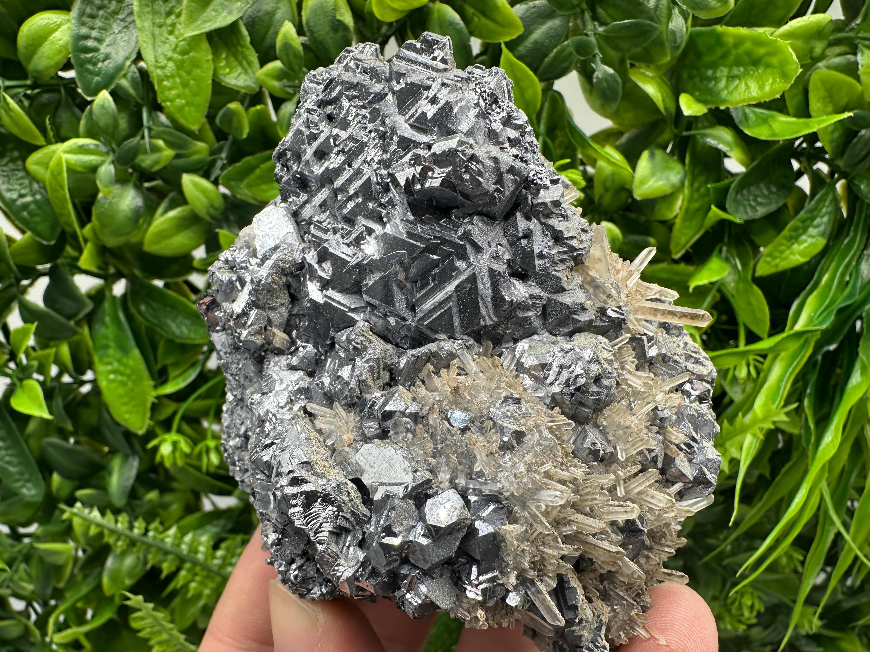 Galena Cluster with Quartz, Krushev Dol Mine, Bulgaria
