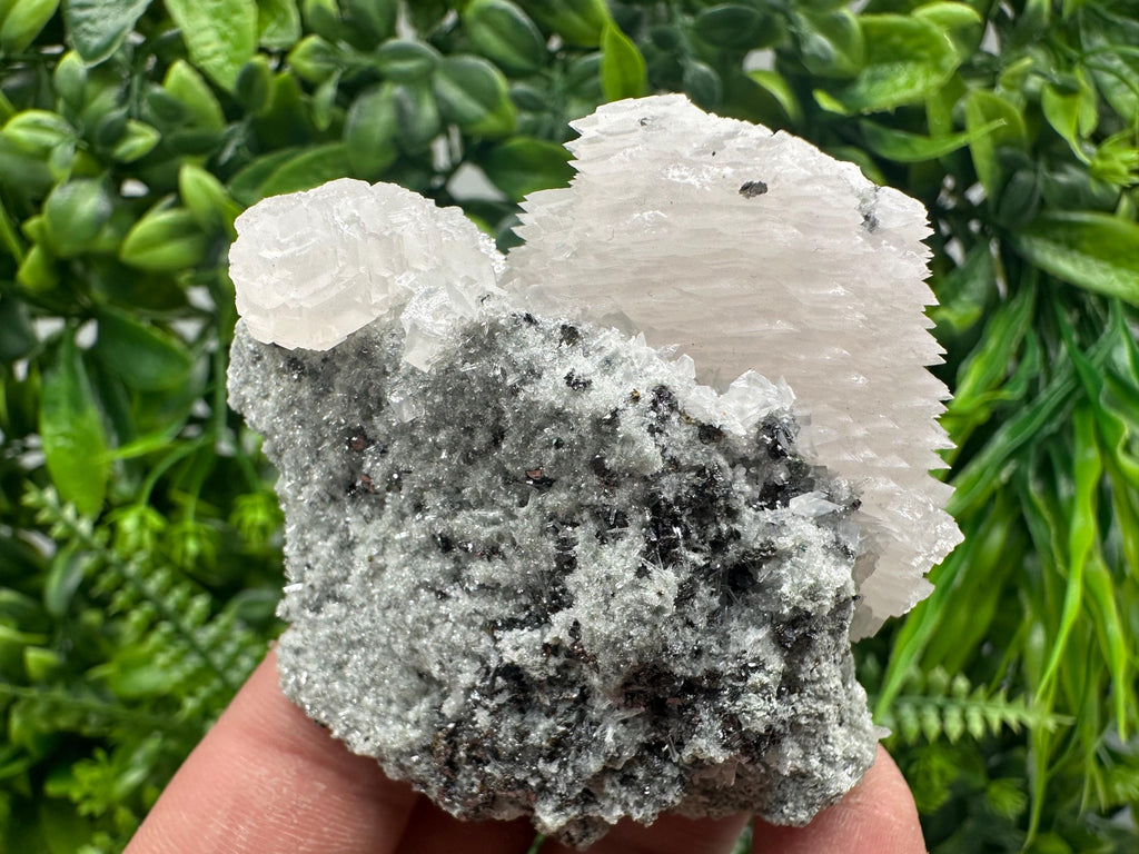 Calcite on Quartz with Sphalerite, Borieva Mine, Bulgaria