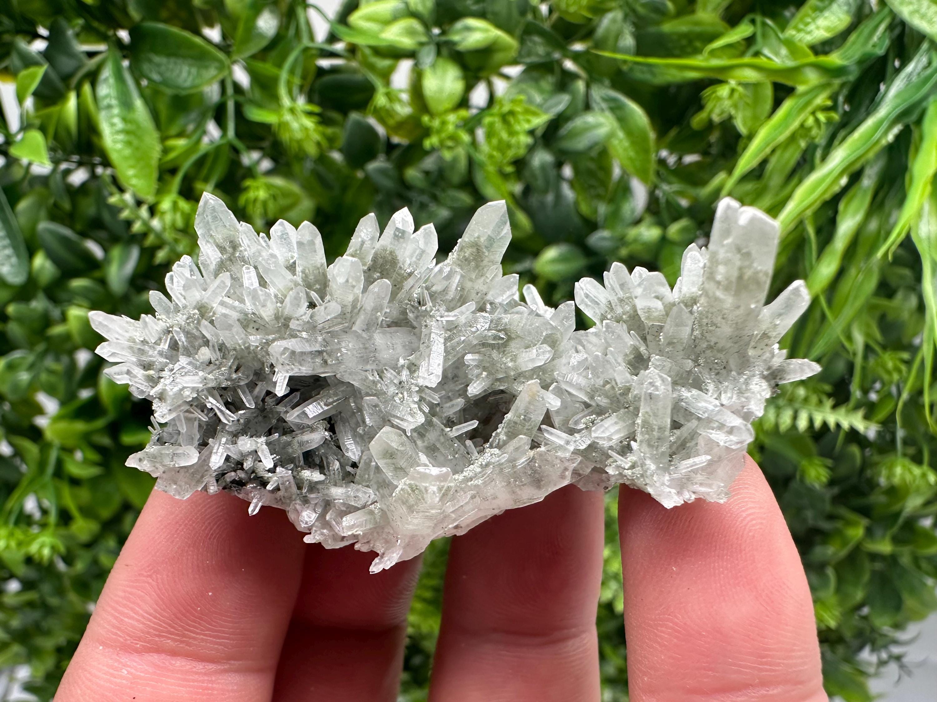 Chlorite Included Green Quartz Crystal Specimen: Madan, Bulgaria