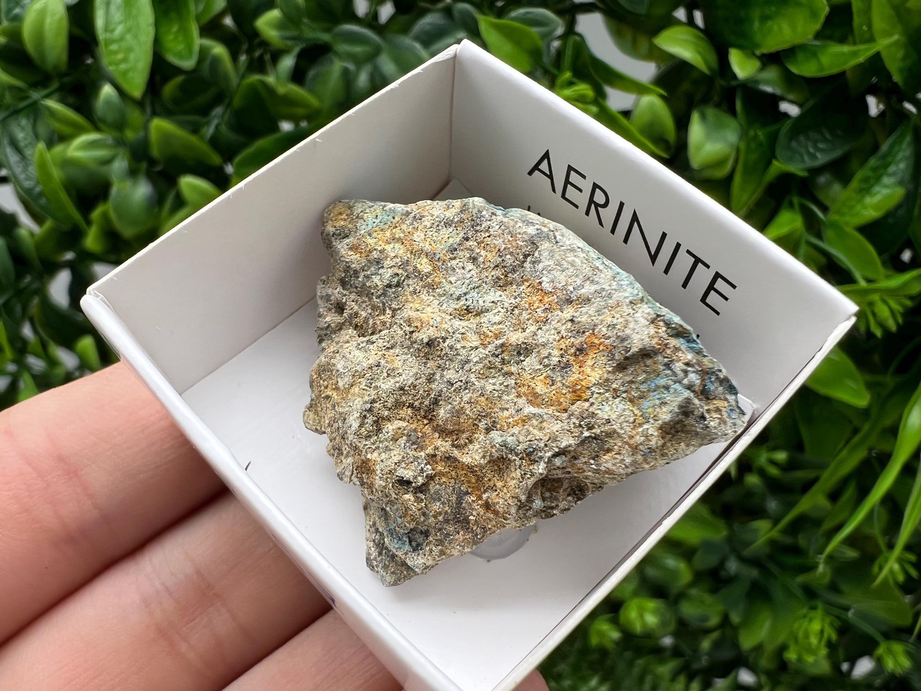 Rare Raw Aerinite Mineral Specimen: Collection Crystal from Lleida, Spain (4/3.5 CM)