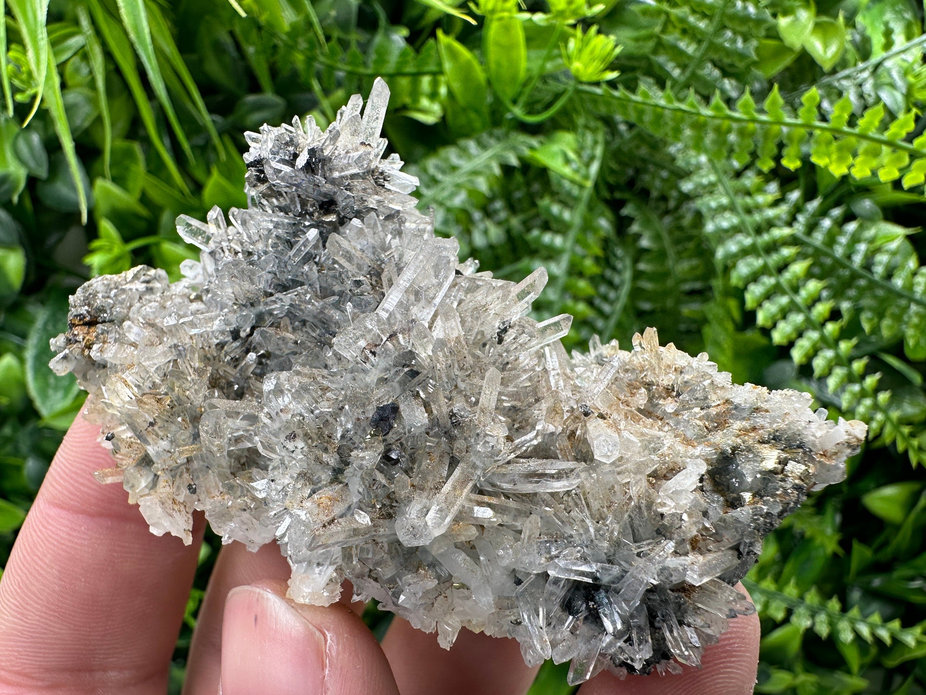 Pyrite Sphalerite on Quartz, Borieva Mine, Bulgaria (8/6/3 cm)