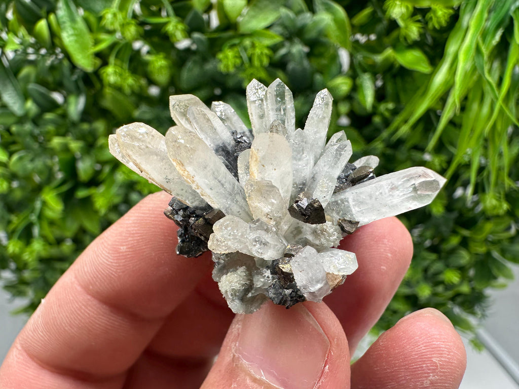 Wonderful Sphalerite Chalcopyrite on Green Quartz whit Hematite feom 9 th September mine,Bulgaria,natural,collection mineral specimen,gift