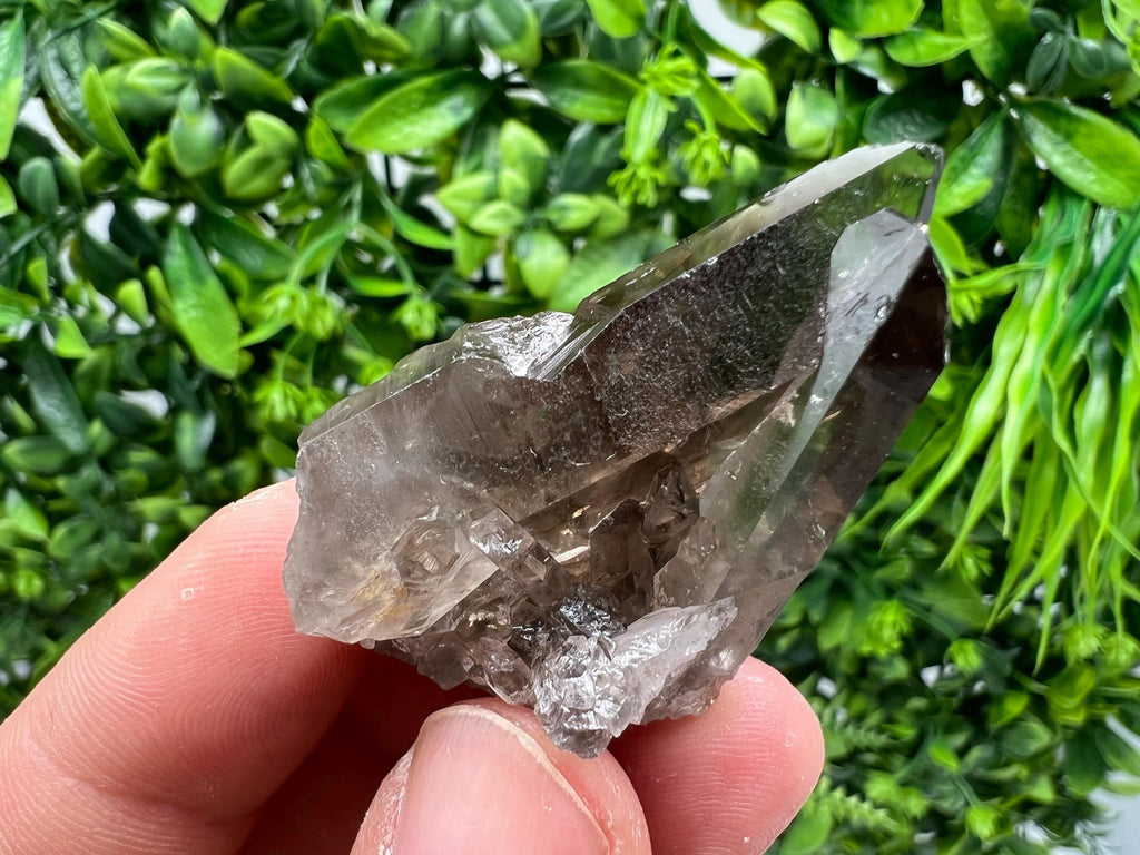Rare Smoky Quartz Crystal Specimen: Mineral Collection, Brazil