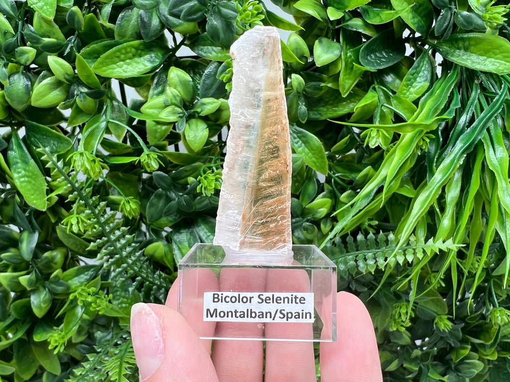 Golden Phantom Selenite Slab: Utah Raw Crystal Wand