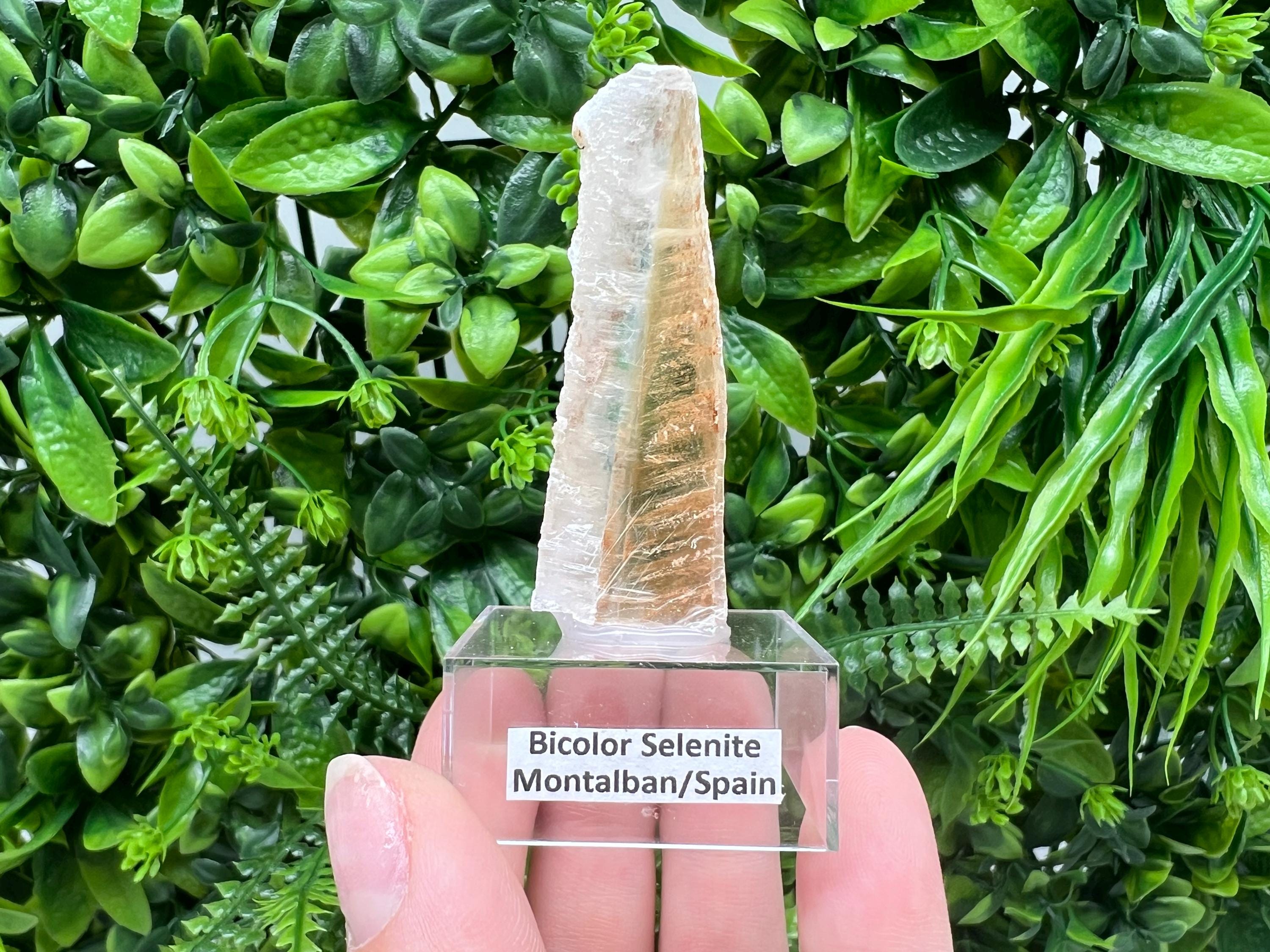 Golden Phantom Selenite Slab: Utah Raw Crystal Wand