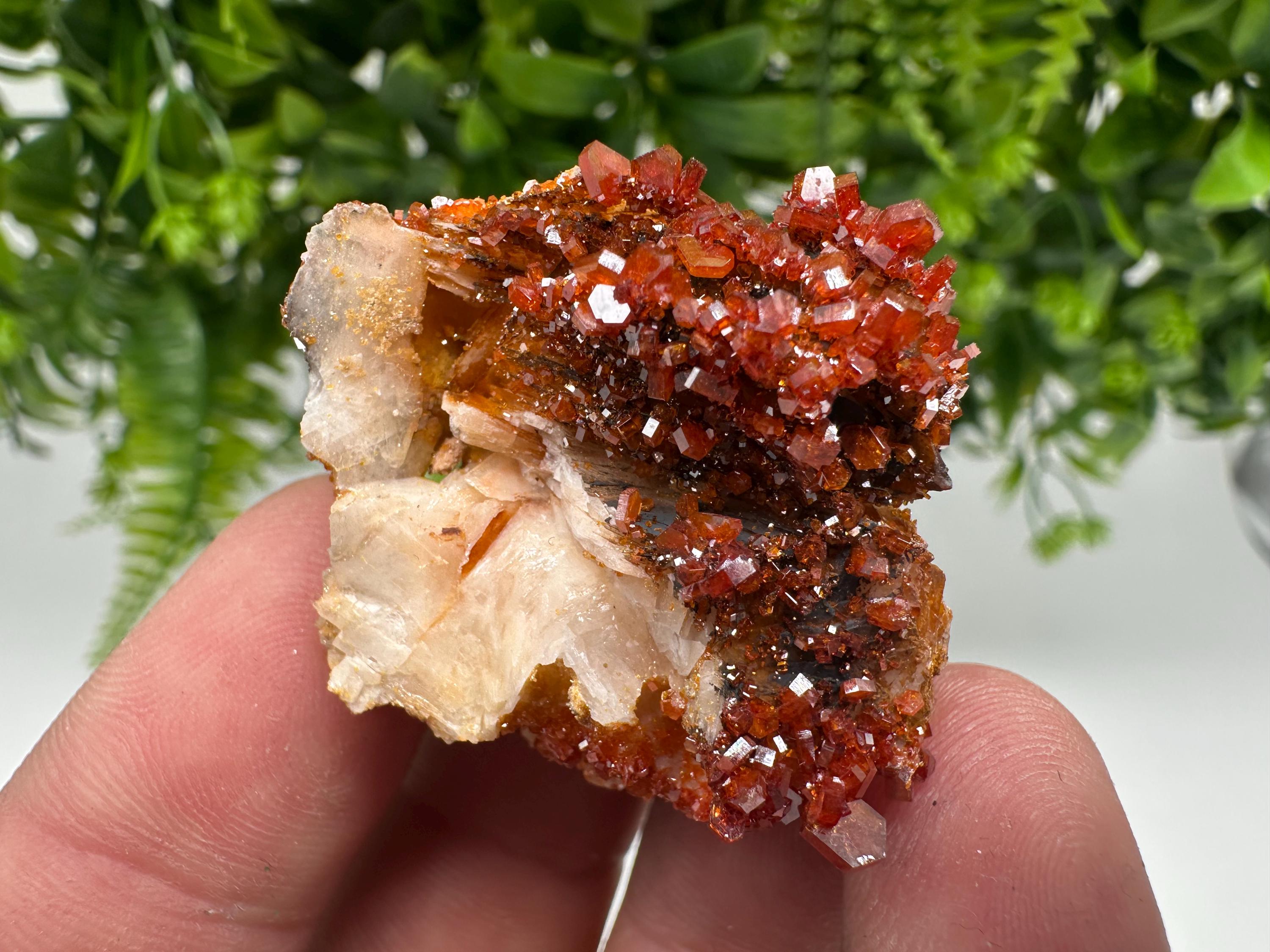 Red Vanadinite on Barite from Marocco,crystal minerals Speciment cluster Vanadinite crystal Vanadinite Geology Vanadinite cluster minerals