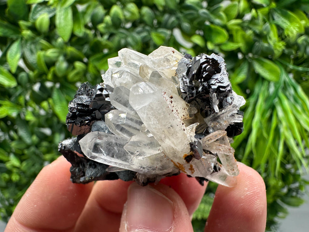 Wonderful Sphalerite Chalcopyrite on  Quartz whit Galena feom 9 th September mine,Bulgaria,natural,collection mineral specimen,gift