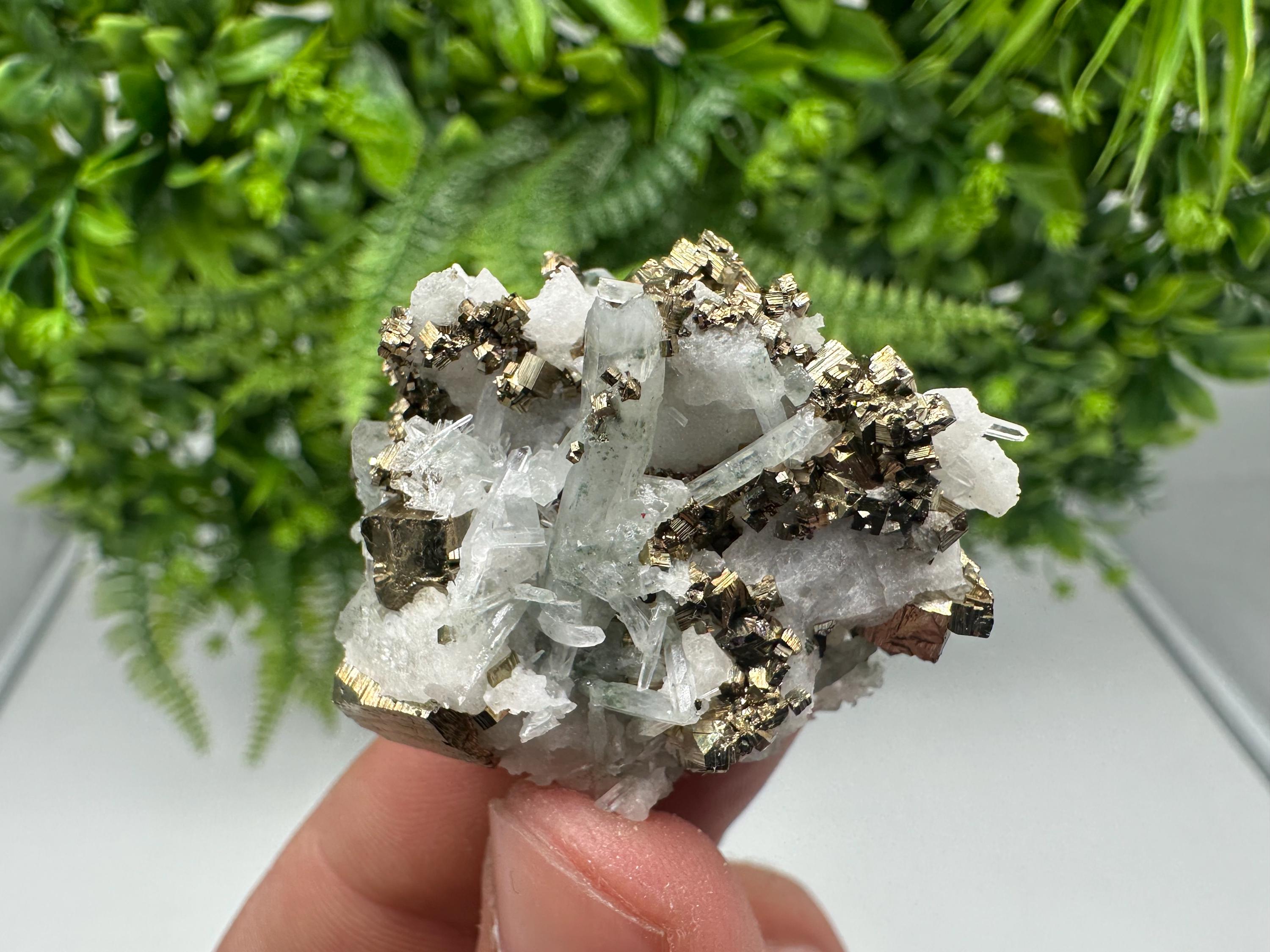 Pyrite on Green Quartz Mineral Specimen, Borieva Mine Bulgaria