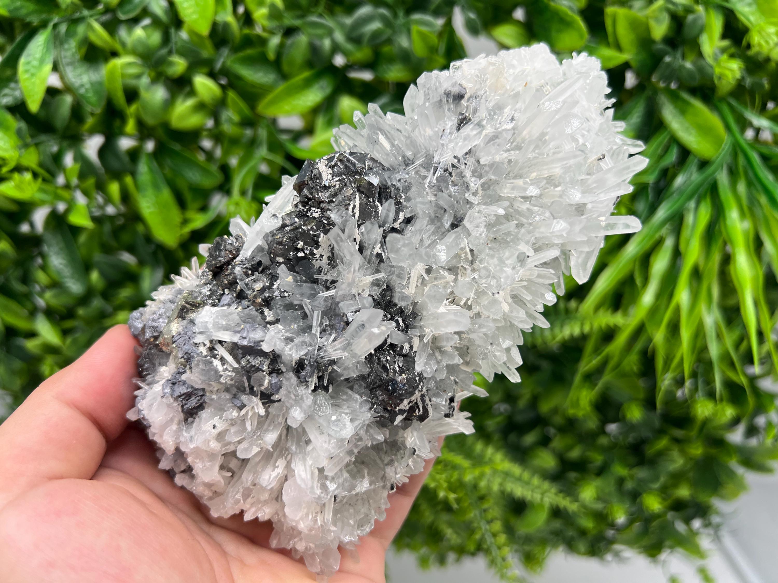 Sphalerite Galena Pyrite on Quartz: Borieva Mine Mineral Cluster