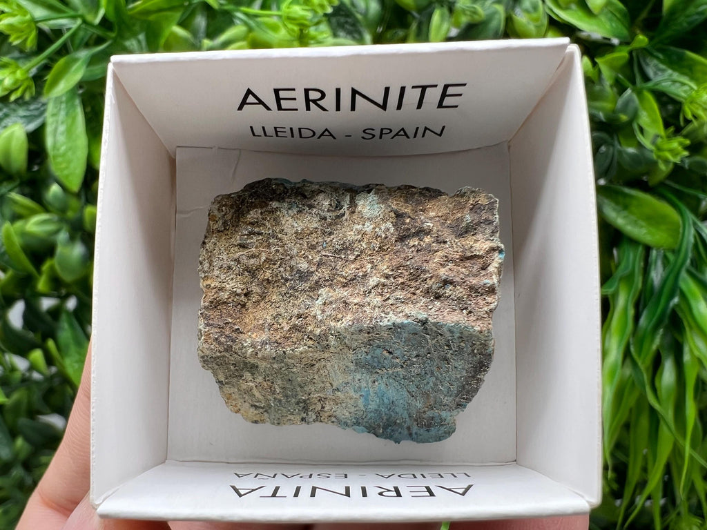 Rare Raw Aerinite Mineral Specimen: Collection Crystal from Lleida, Spain (3/2.5 CM)