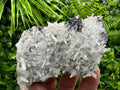 Chlorite Quartz Crystal Cluster, Bulgarian Mineral Specimen