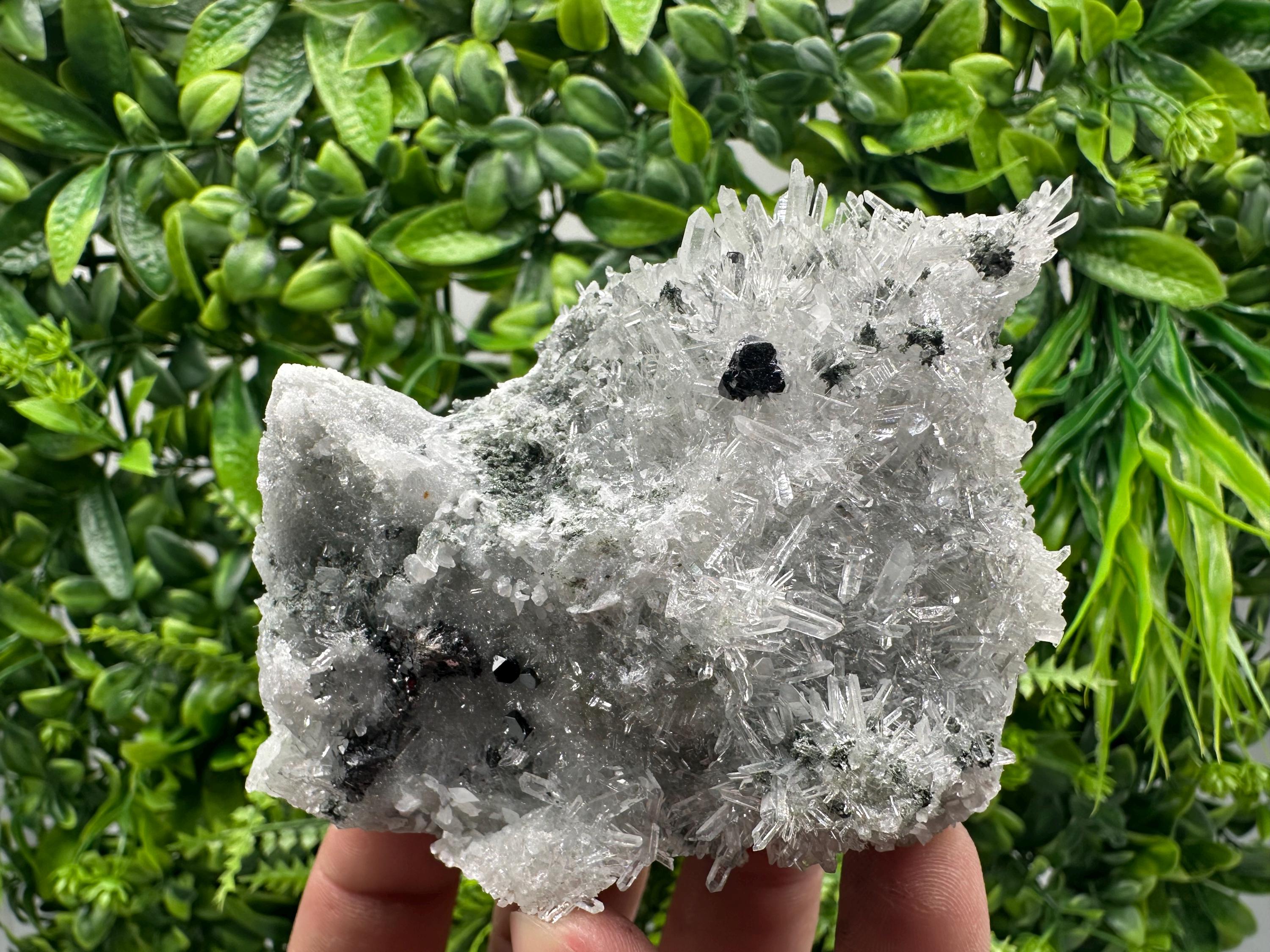 Sphalerite on Green Quartz, Borieva Mine Mineral Specimen