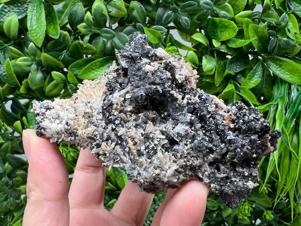 Aesthetic Natural shiny Galena whit Siderite and Quartz from 9 th September mine,Bulgaria,collection specimen,rare galena,Galena cluster