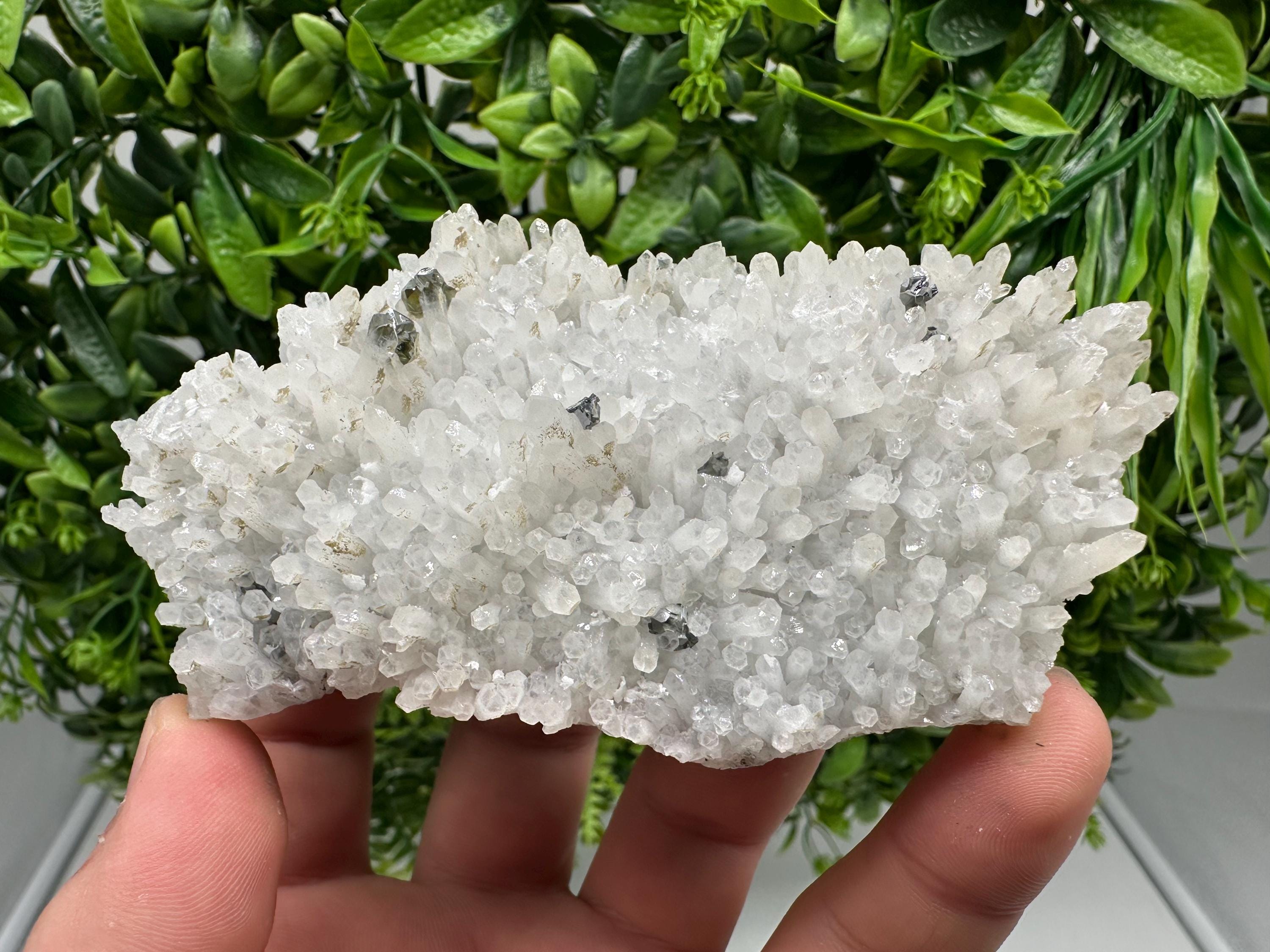 Stunning Gems Sphalerite Cleiopfane on Quartz from Krushev dol mine,Madan,Bulgaria,natural,collectible mineral specimen,home decor stone