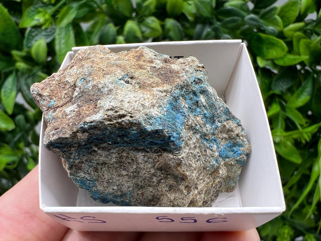 Rare Raw Aerinite Mineral Specimen: Collection Crystal from Lleida, Spain (5/3.5 CM)