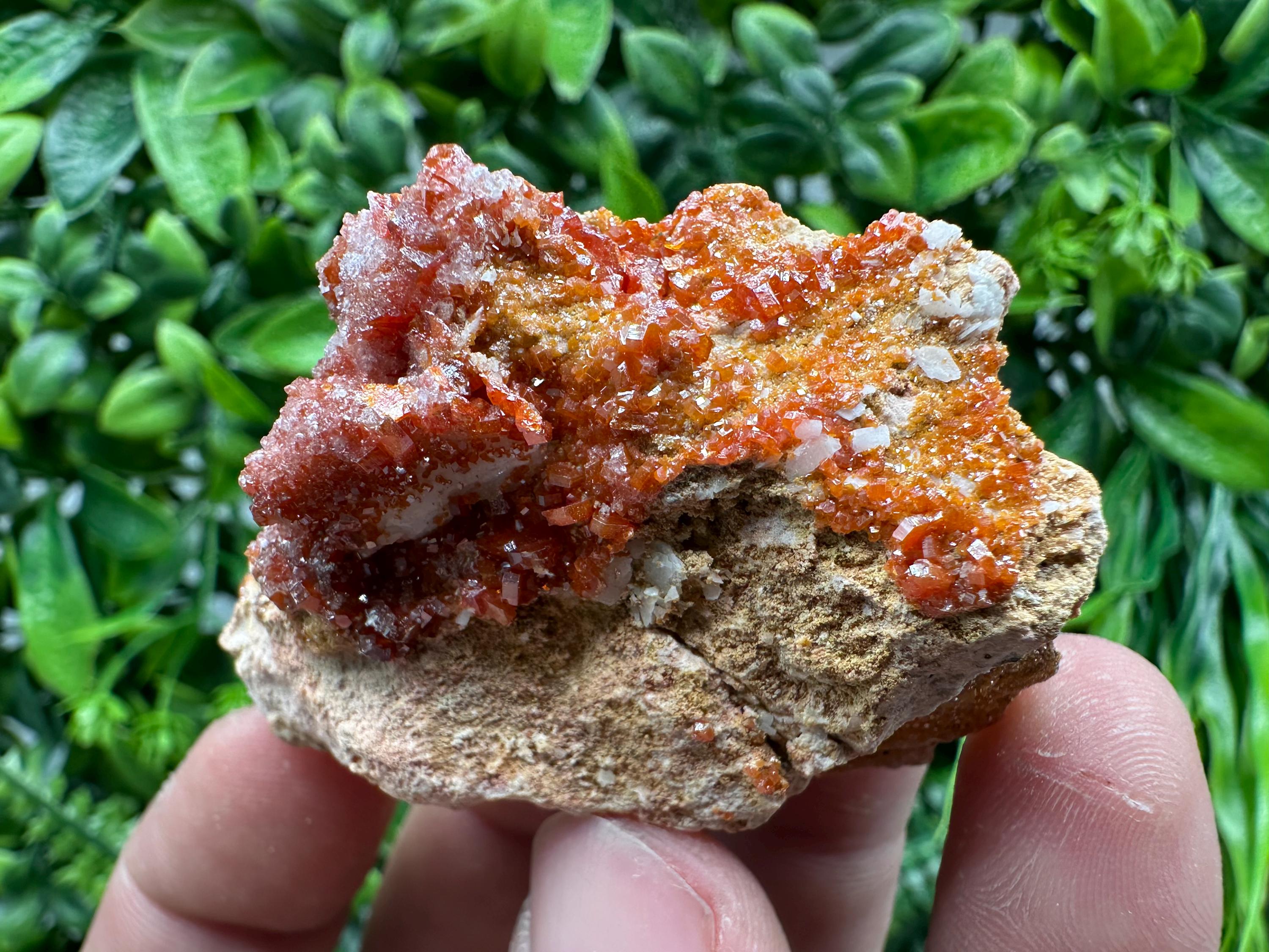 Red Vanadinite Crystal Cluster on Matrix, Morocco Mineral Specimen