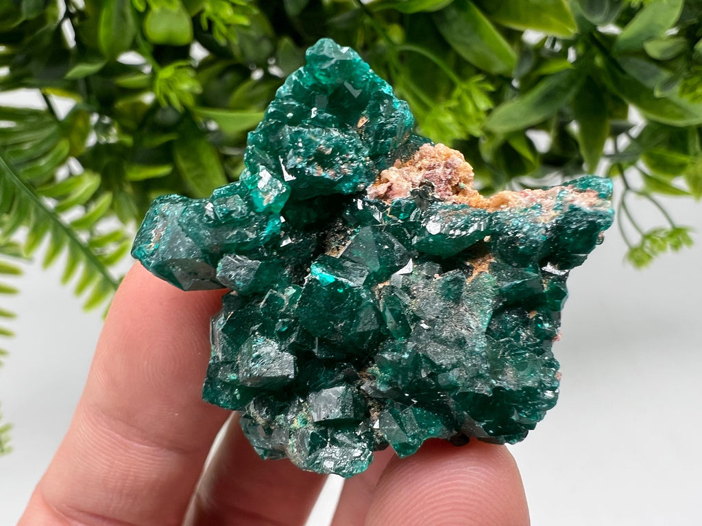 Stunning Green Dioptase from Sanda Hills,Mindouli,Pool Department,Mindouli District,Congo,green Dioptase,Dioptas Crystal,Dioptase collecting