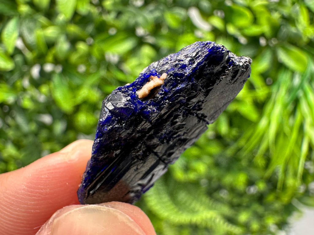 Crystallized Azurite-Kerrouchen,Morocco-Blue Azurite Specimen-High Quality Blue Azurite-Azurite Mineral Specimen, gemmy,lustrous of Azurite