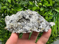 Chalcopyrite on Quartz Crystal: Borieva Mine, Bulgaria