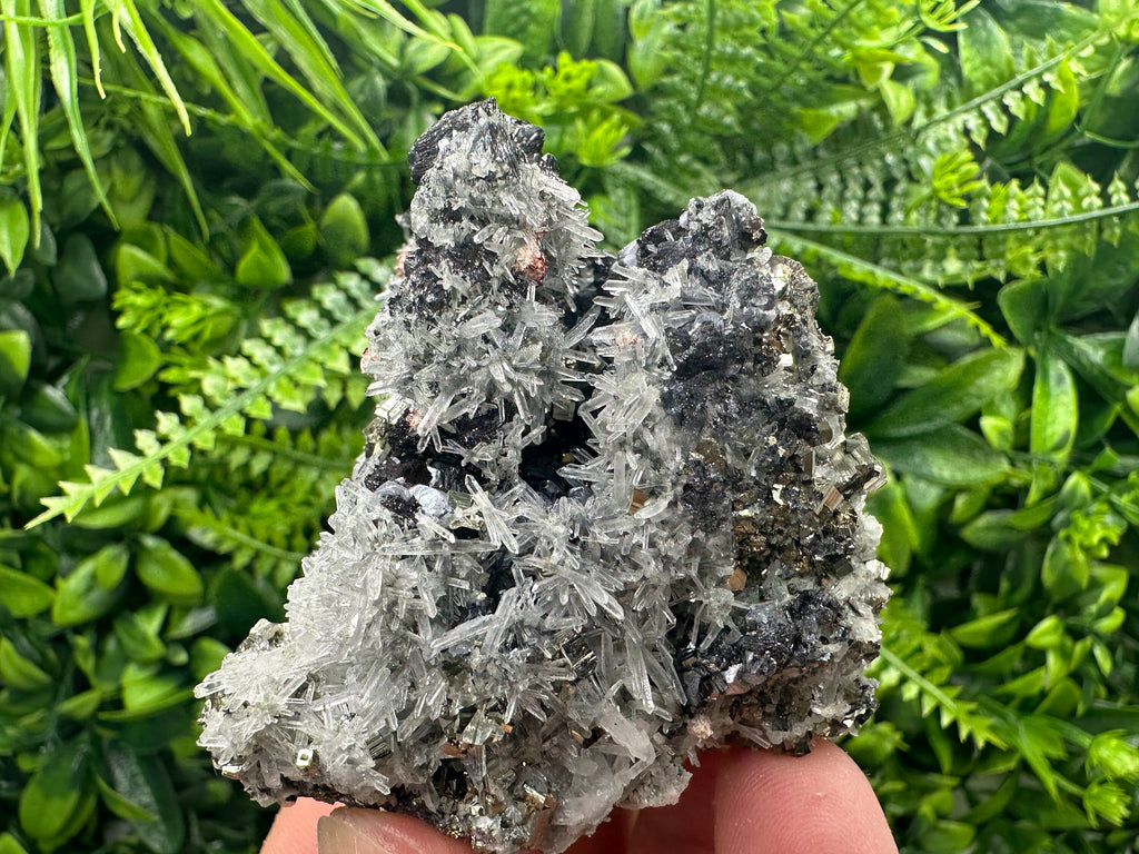 Sphalerite Galena Pyrite on Quartz, Borieva Mine Mineral Specimen