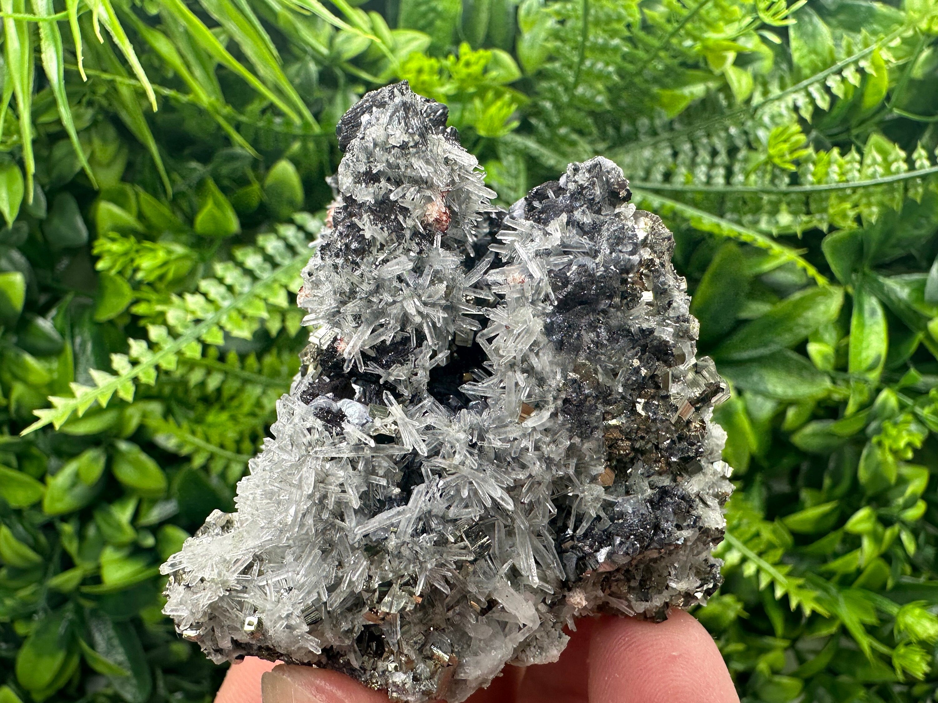 Sphalerite Galena Pyrite on Quartz, Borieva Mine Mineral Specimen