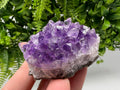 Uruguay Amethyst Crystal: Purple Quartz Phantom - Home Decor