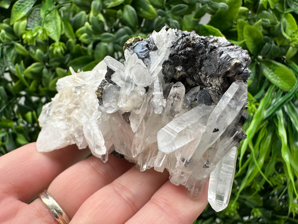 Wonderful Sphalerite Chalcopyrite on  Quartz whit Galena feom 9 th September mine,Bulgaria,natural,collection mineral specimen,gift
