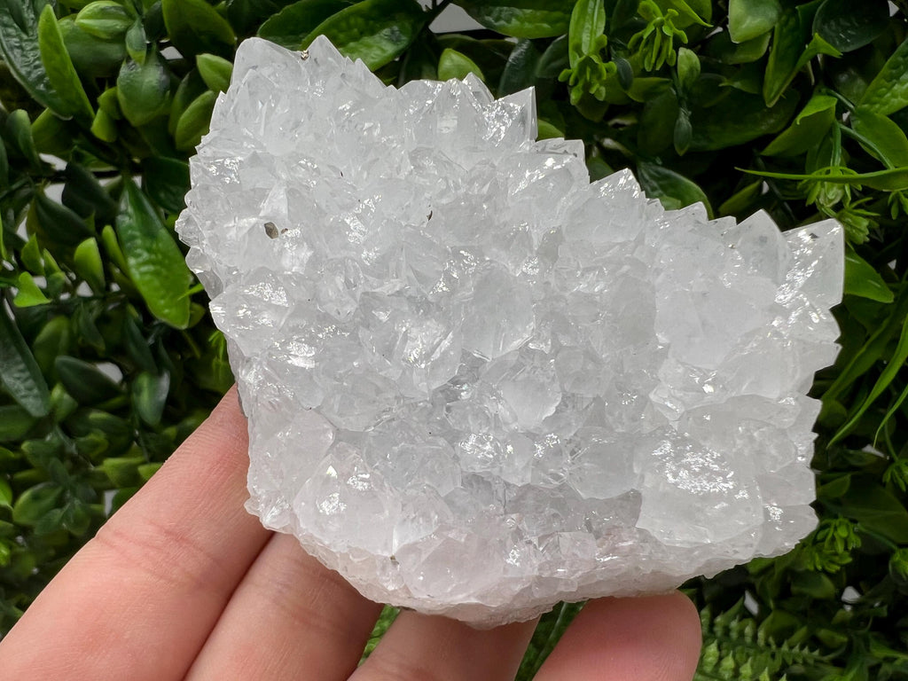 Wonderful Transparent Quartz on Chlorite Matrix,From Borieva mine,Madan,Bulgaria,Quartz,Quartz crystal,mineral specimen,collection quartz
