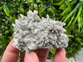Green Quartz Specimen: Chlorite and Sphalerite Inclusions, Madan Bulgaria