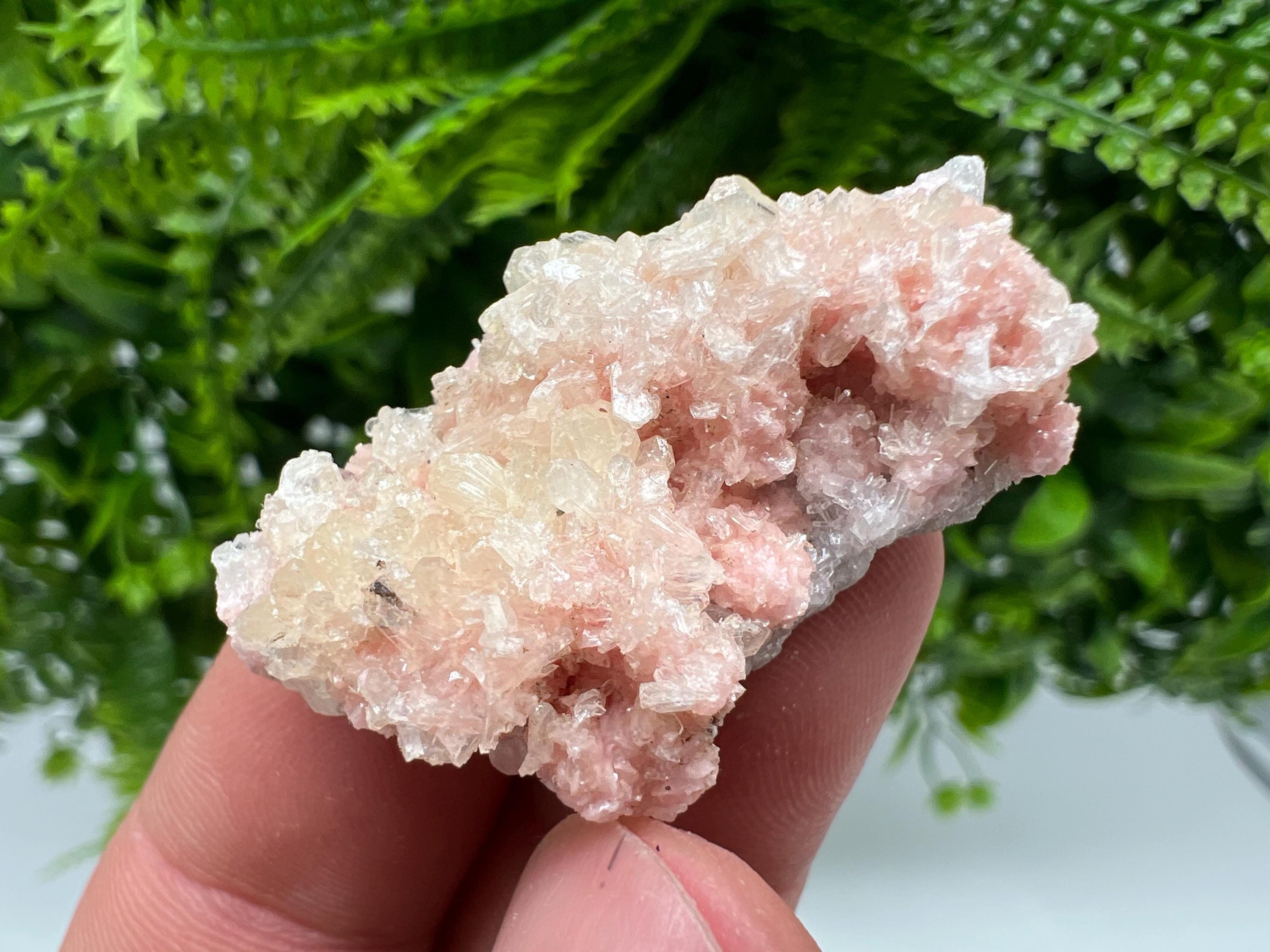 Pink Rhodochrosite Mineral Specimen: Starnica Mine, Bulgaria