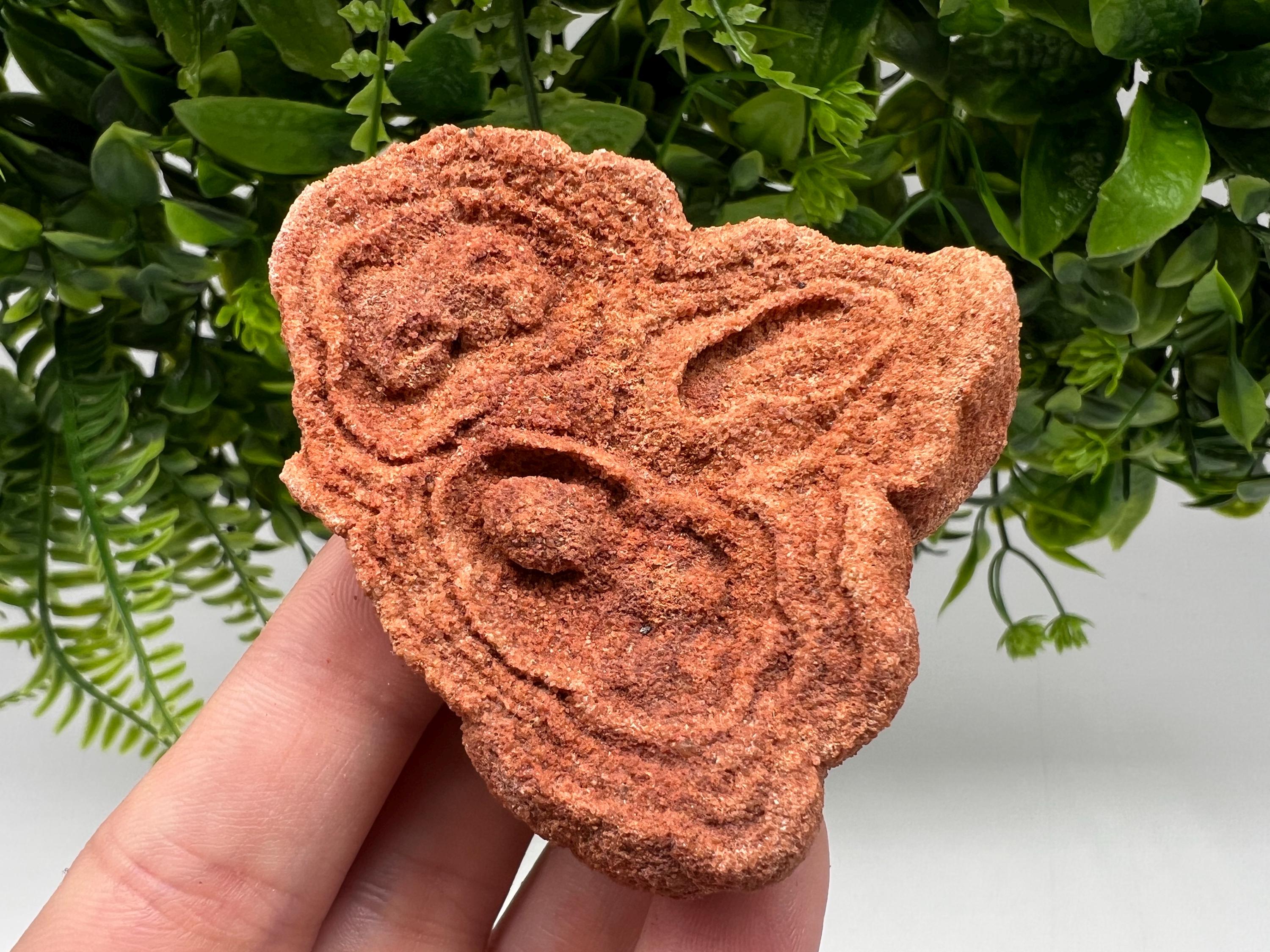 Raw Moroccan Stromatolite Fossil Specimen, Grounding Stone