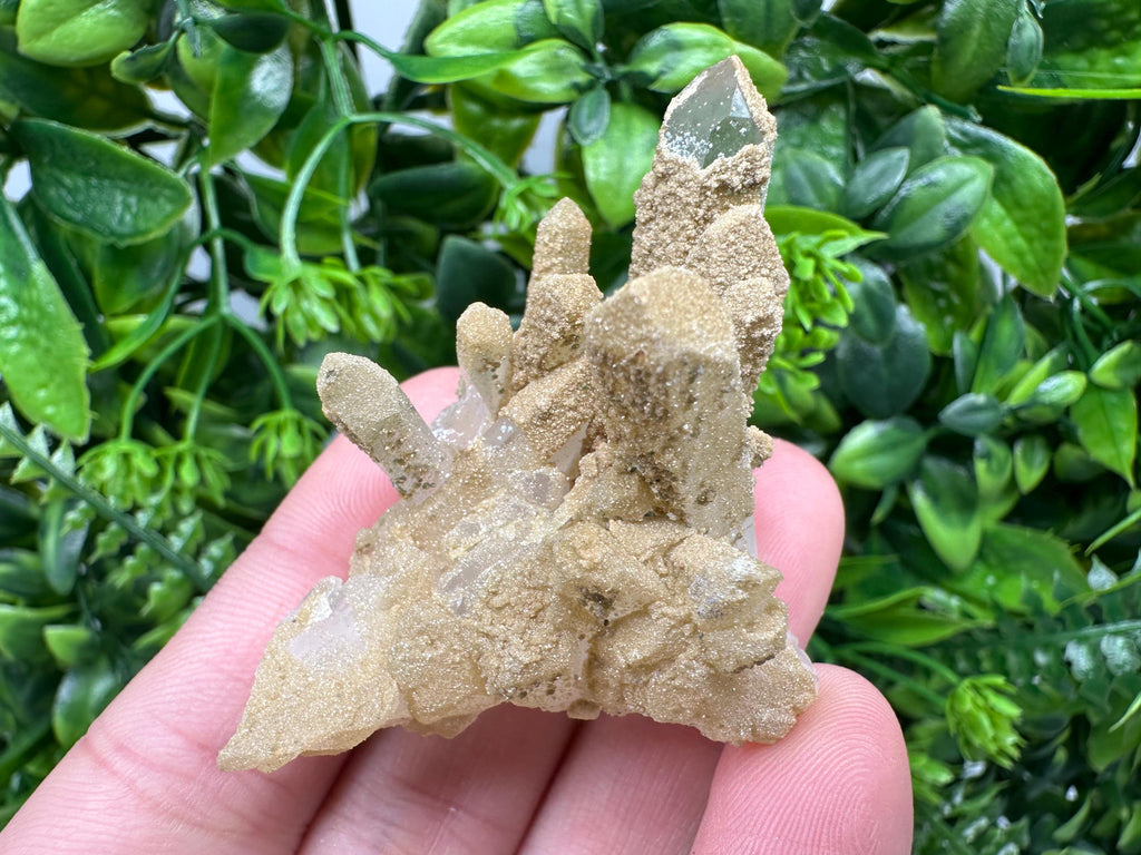 Quartz Rhodochrosite Cluster, Bulgaria Mineral Specimen