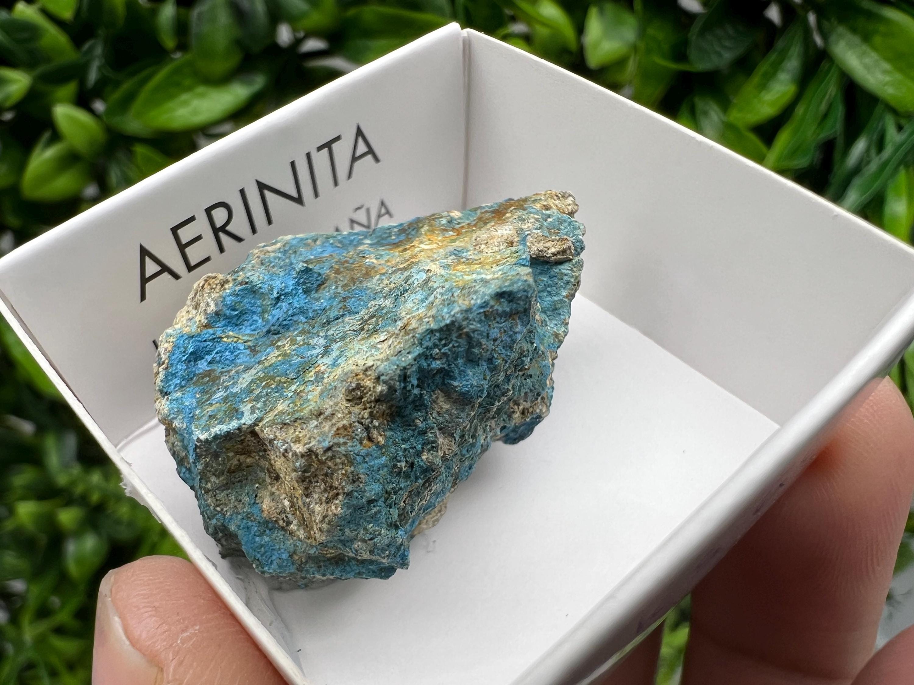 Rare Raw Aerinite Crystal, Mineral Specimen from Lleida, Spain