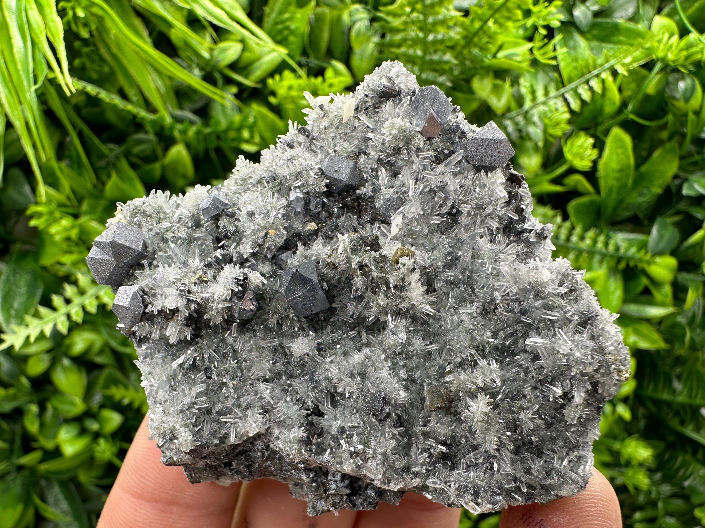 Galena on Quartz with Pyrite: Natural Crystal Home Decor Stone